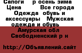 Сапоги 35 р.осень-зима  › Цена ­ 700 - Все города Одежда, обувь и аксессуары » Мужская одежда и обувь   . Амурская обл.,Свободненский р-н